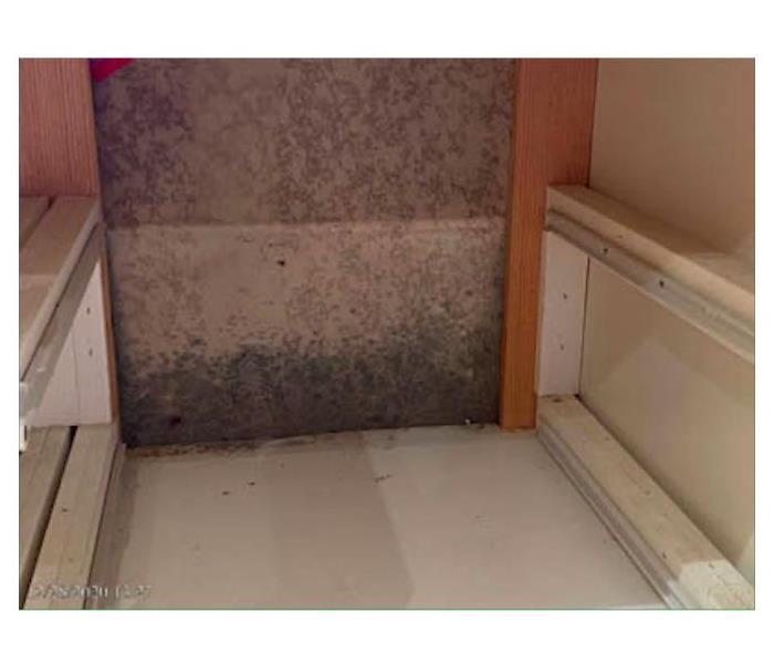 Mold growth under sink.