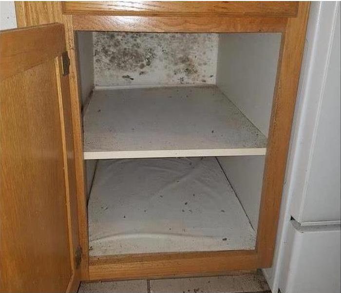 Mold growth inside cabinets.